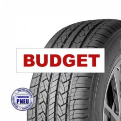 Pneu 205/45R17 BUDRF